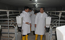 國家及市銀行系統(tǒng)撿查