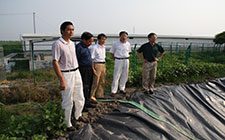 市農(nóng)委副主任陳洪凡、區(qū)農(nóng)委領(lǐng)導(dǎo)來我公司