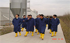 胡延照副市長視察東石豬場(chǎng)