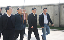 市農(nóng)委主任孫雷來屠宰廠