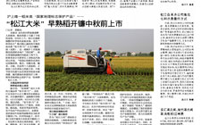 稻米類“國家地理標(biāo)志保護(hù)產(chǎn)品”——  “松江大米”早熟稻開鐮中秋前上市 