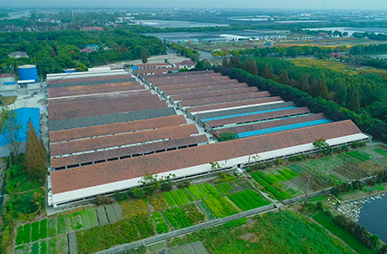 2002年收購新五茹塘種豬場，經(jīng)改造后，可飼養(yǎng)年圈存母豬1200頭，商品豬圈存量2000頭。