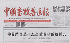 種養(yǎng)結(jié)合是生態(tài)高效養(yǎng)豬的好模式