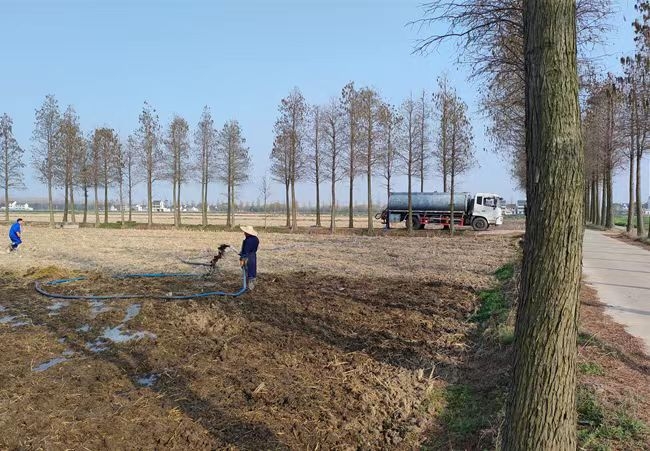 上海金山區(qū)2